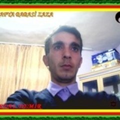 Bushido Demir