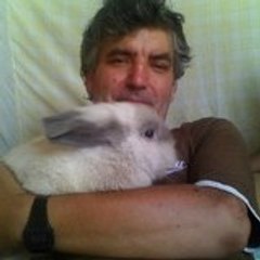 emilioserralha serralha