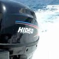 HideaTurkey