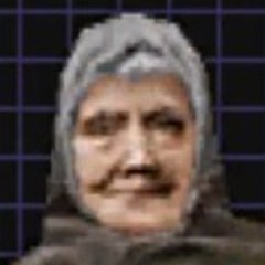 Baglady74
