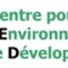 Mireille Fouda