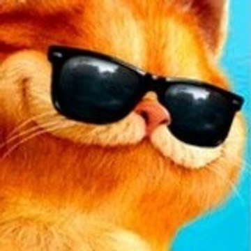 Videovik