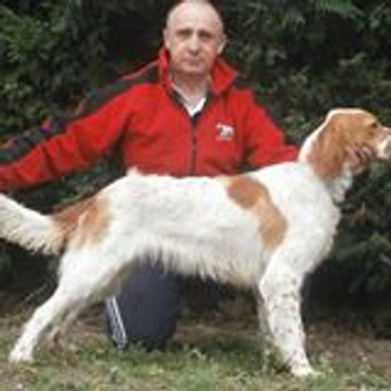 patrick teyssier
