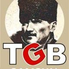 tgbsamsun