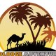 Marrakech Tours