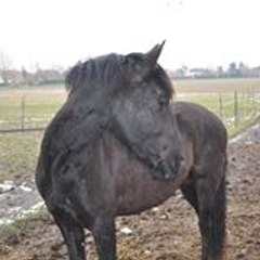 bernard toshan45
