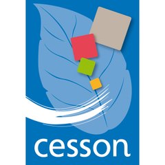 Ville de Cesson