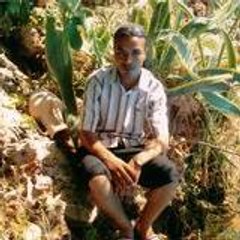anas benamr