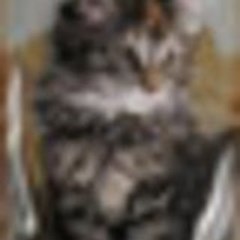 Djinny24
