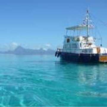 nemocruises