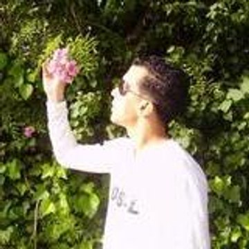 cheb simo