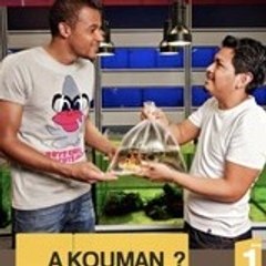 A_KOUMAN