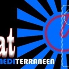 woambat electro acoustique