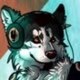 RyanTheHusky