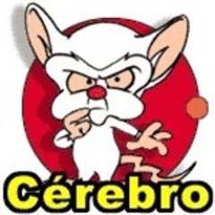 cristalwolf80