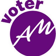 voter_am