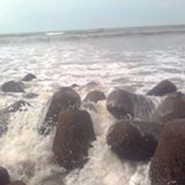 Partha Mandal