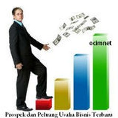 Peluang Usaha