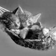 margaux sarah simonin simon