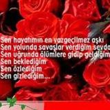 selver guleç