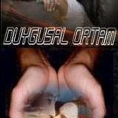 DuygusalOrtamASM