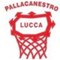 u17elitelucca