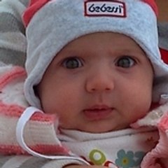 cihan1221