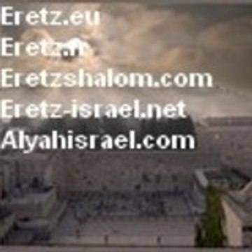 Yoav Rheims