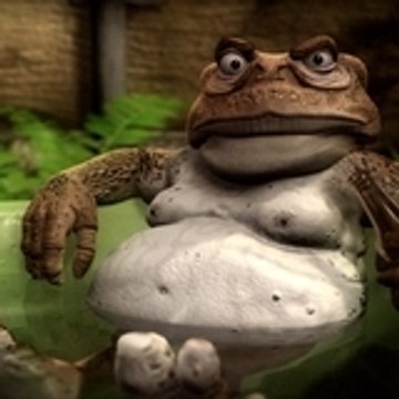 Toad