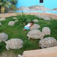 bamba SAMORY SOUEIDATT