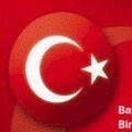 Tülay Parmaksız Çelik