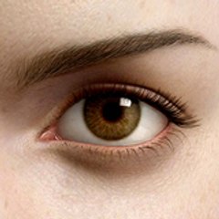 OEIL