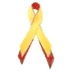 Fundación HCV Sin Fronteras