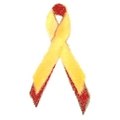 Fundación HCV Sin Fronteras