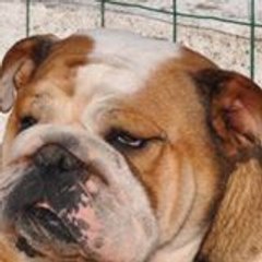 Mélissa Leclercq