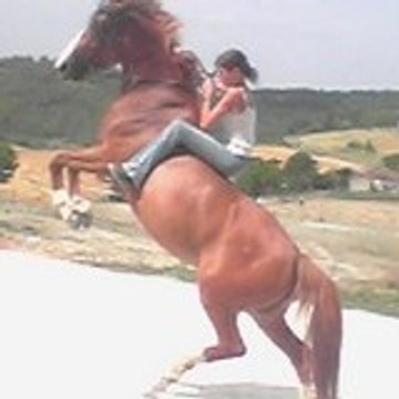 amandine