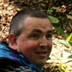 Lionel_Palisson