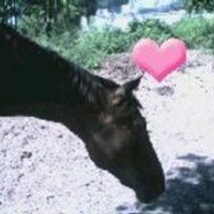 o-saby34