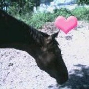 o-saby34