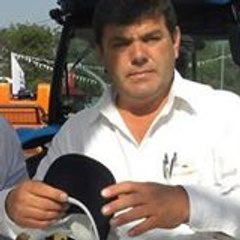 Mesut Pektaş