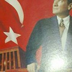 Ali Meisli