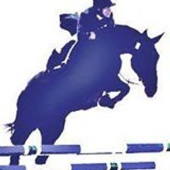 Poneyclub De Montech Montech