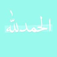 Mohammed Amin Alouan