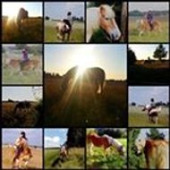 Angelique Maximilien