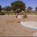 Sanus