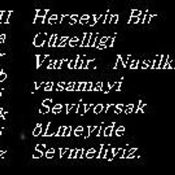 harbikiz YaLaN_Sevgiler