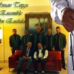 Sinan Topcu
