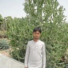 Ghulam Mustafa Shaikh