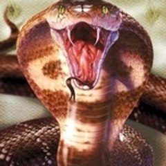 _goreinou_