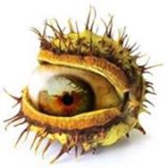 Skanimo Ominaks